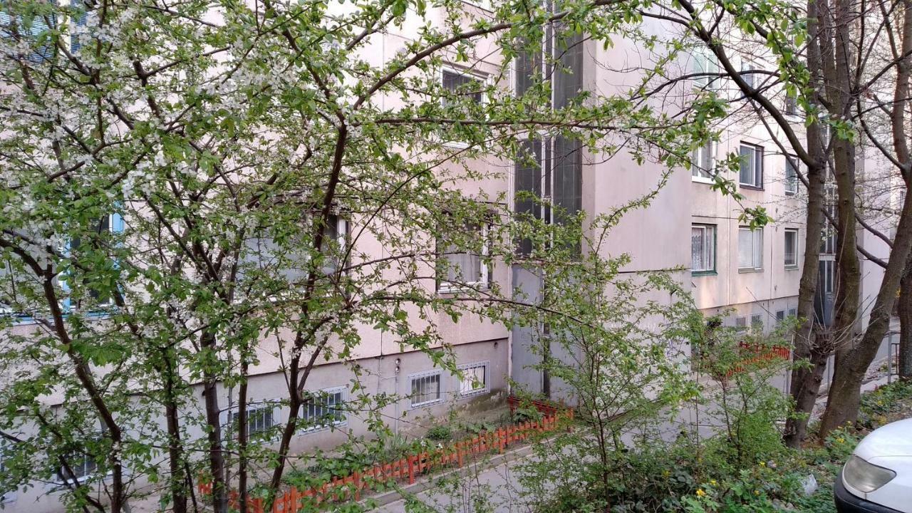 Apartment Gesztenyes *